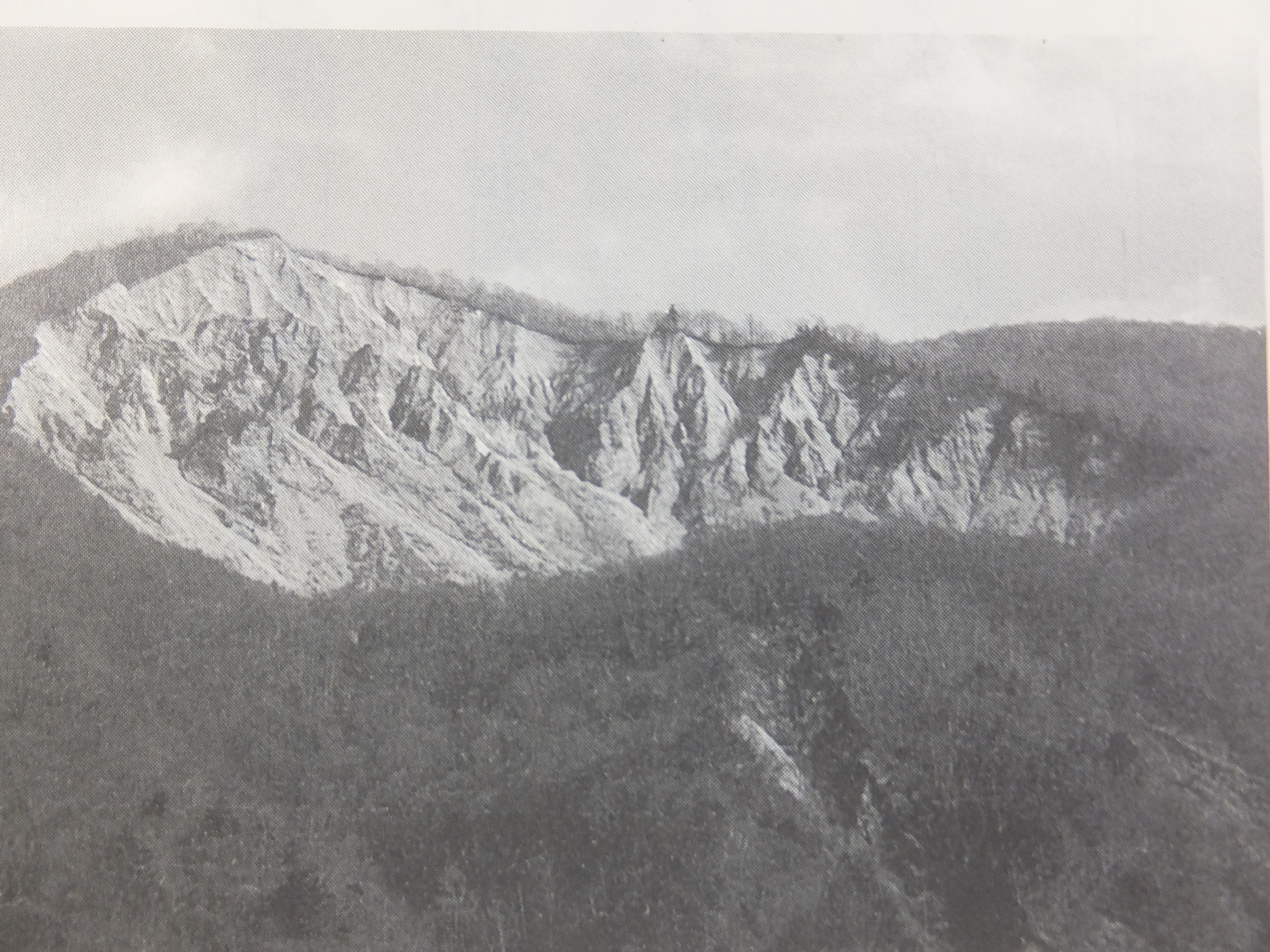 帰雲山の崩壊地
